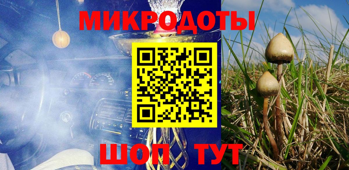 Галлюциногенные грибы Psilocybe  Вход с VPN  Междуреченск 